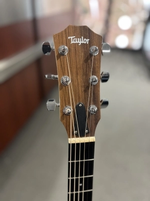 Taylor Guitars - ACADEMY 10E 2